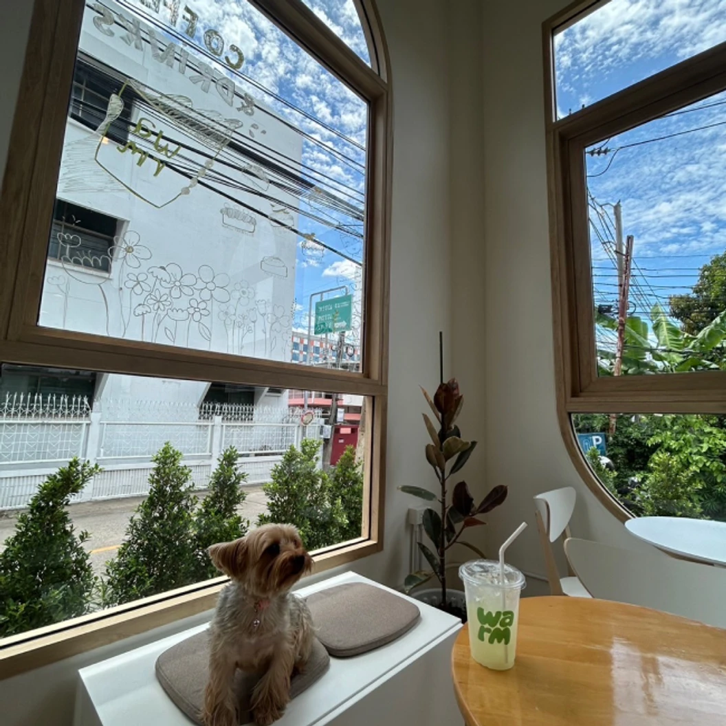 โปรแกรม Sculptra หน้า 1 ขวด (10 ซีซี)