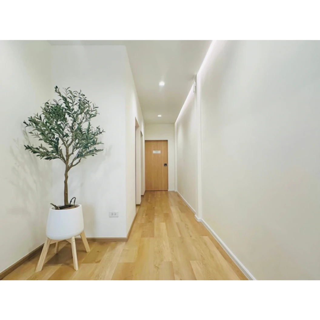 คอร์สเลเซอร์กำจัดขนทั่วร่างกาย 12 ครั้ง ด้วย Diode Laser