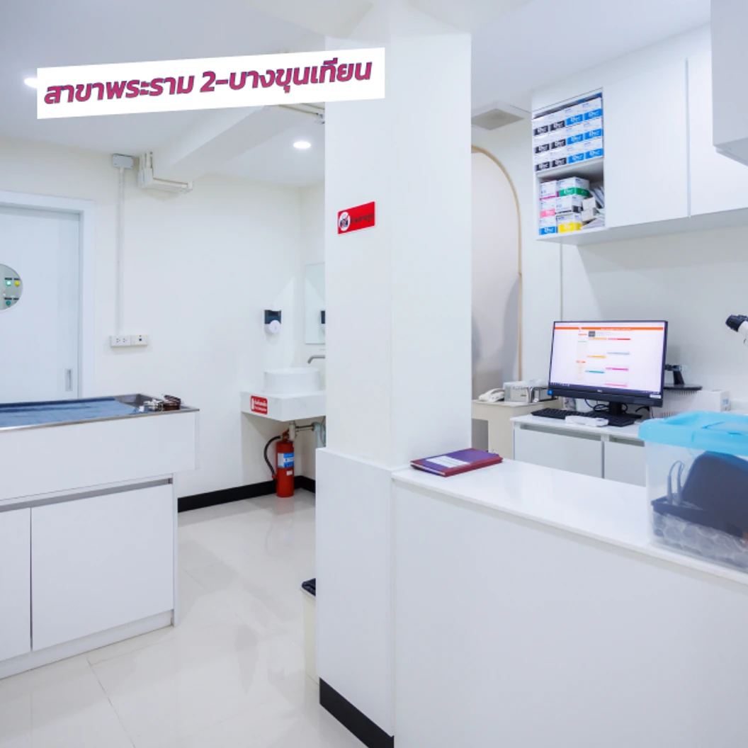 อาบน้ำและตัดขนสุนัข ด้วยปัตตาเลี่ยน สำหรับสุนัขน้ำหนัก 1-5 กก. 1 ครั้ง