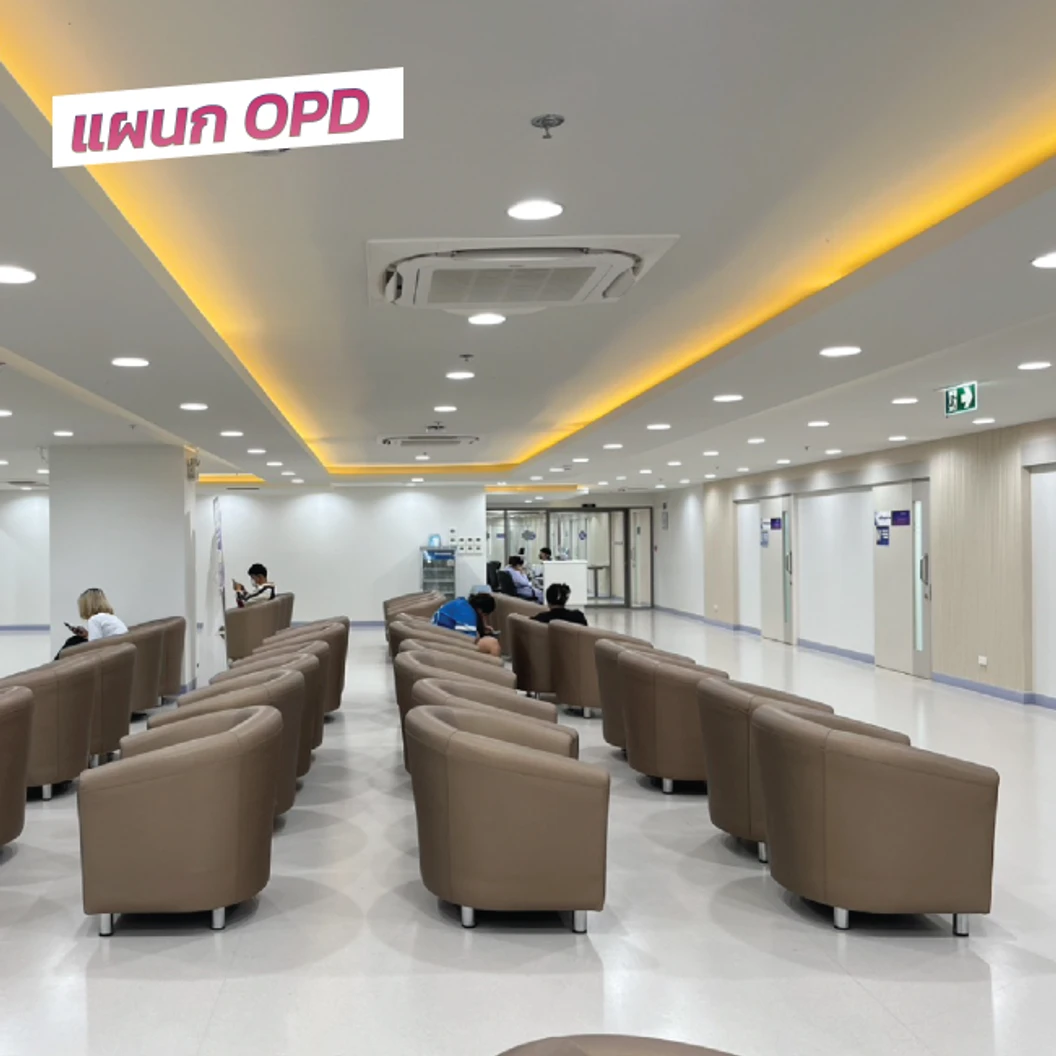 ฉีดวัคซีนไข้เลือดออก 4 สายพันธุ์ 2 เข็ม