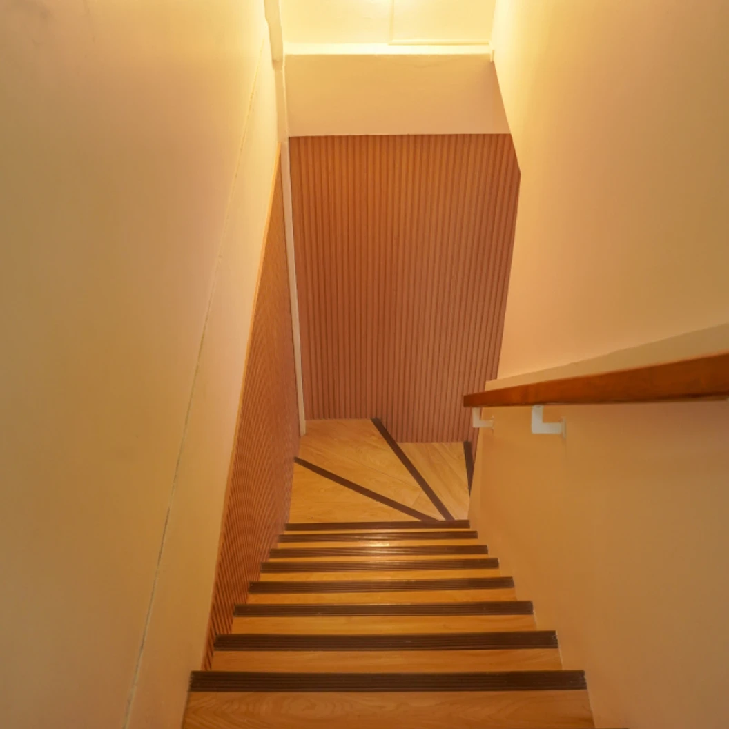 โปรแกรม Sculptra หน้า 1 ขวด (10 ซีซี)