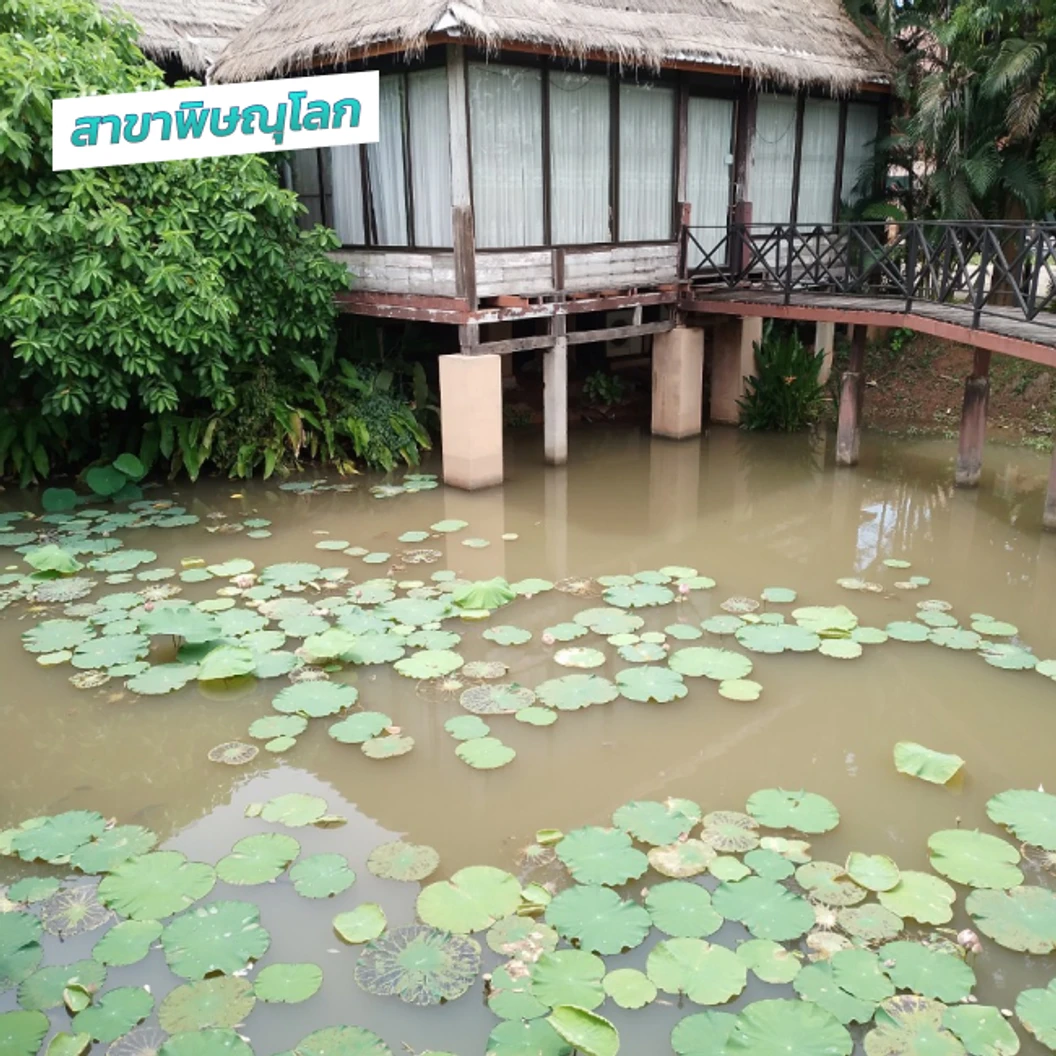 โปรแกรมกายภาพบำบัดรักษาออฟฟิศซินโดรม 5 ขั้นตอน