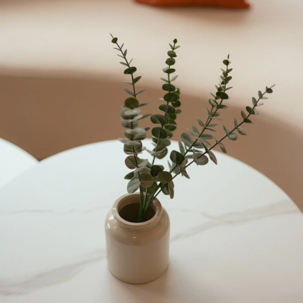 ฉีดวัคซีน HPV ป้องกันมะเร็งปากมดลูก ชนิด 9 สายพันธุ์ 3 เข็ม สำหรับผู้ที่อายุ 15 ปีขึ้นไป