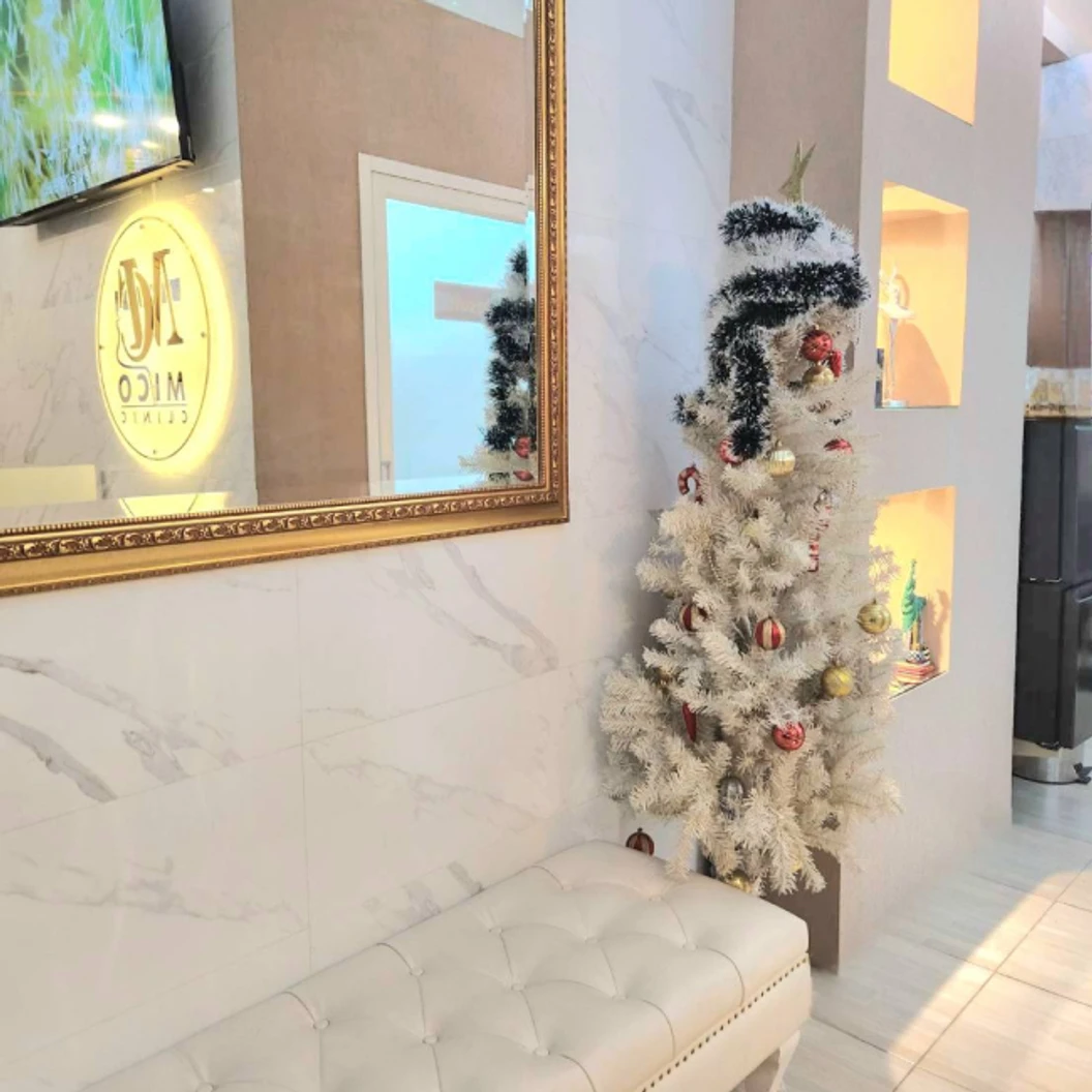 ผลักวิตามินลงสู่ผิวหน้า ด้วยเครื่อง Face Electro สูตร Face Freshing เพื่อลดรอยหมองคล้ำ ปรับผิวให้ดูกระจ่างใส 1 ครั้ง