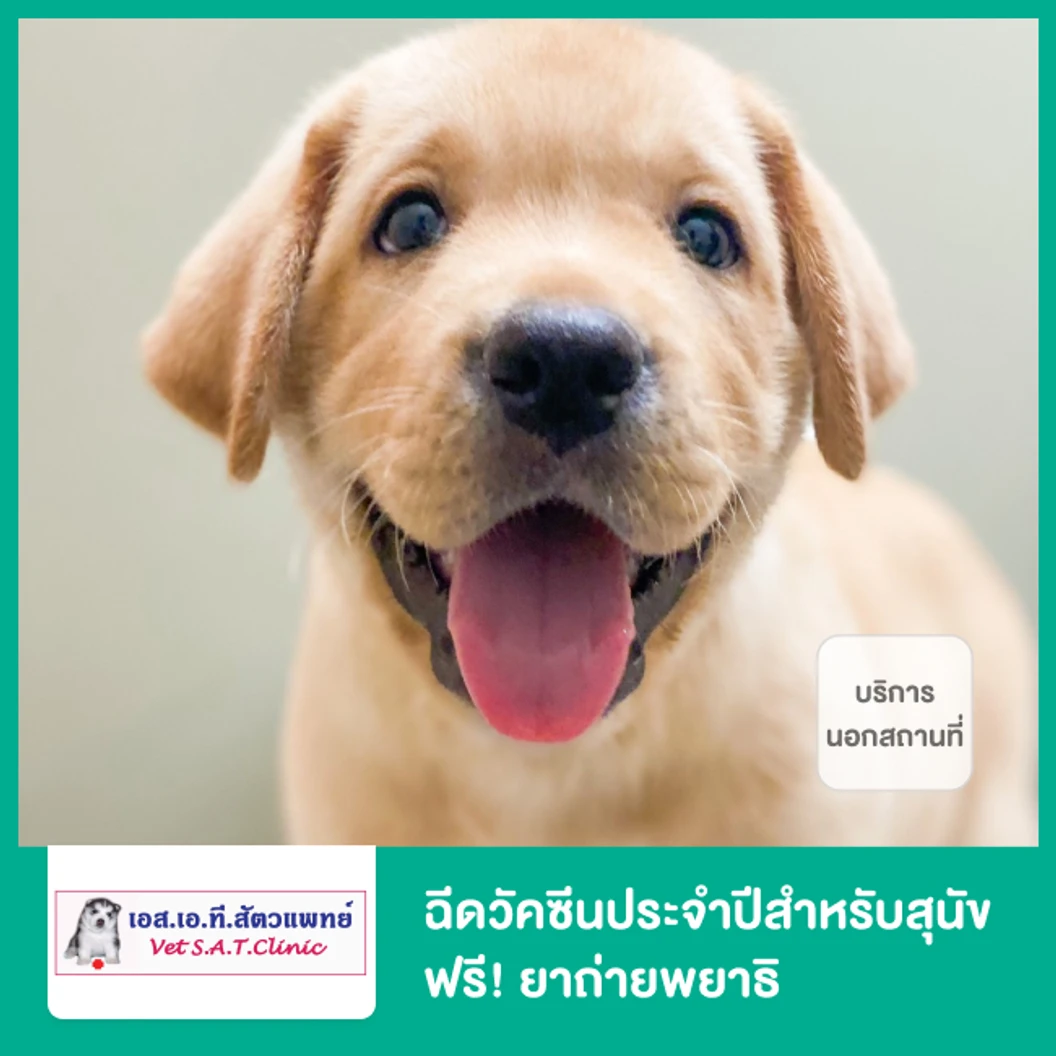 ฉีดวัคซีนประจำปีสำหรับสุนัข ฟรี! ยาถ่ายพยาธิ บริการนอกสถานที่