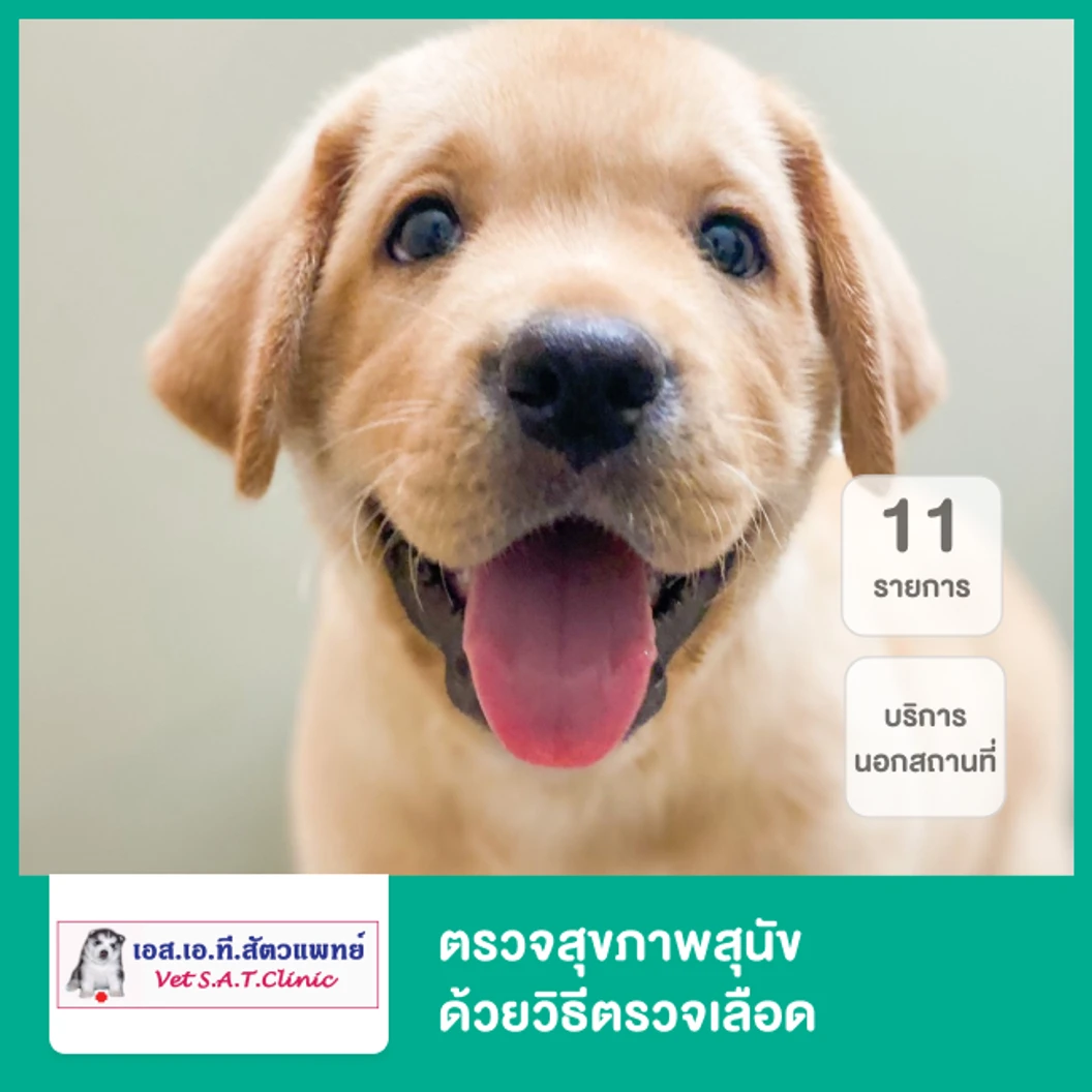 ตรวจสุขภาพสุนัข 11 รายการ ด้วยวิธีตรวจเลือด บริการนอกสถานที่