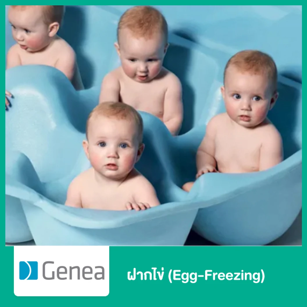 ฝากไข่ (Egg-Freezing)