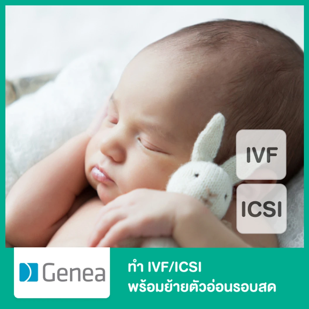 ทำ IVF/ICSI พร้อมย้ายตัวอ่อนรอบสด