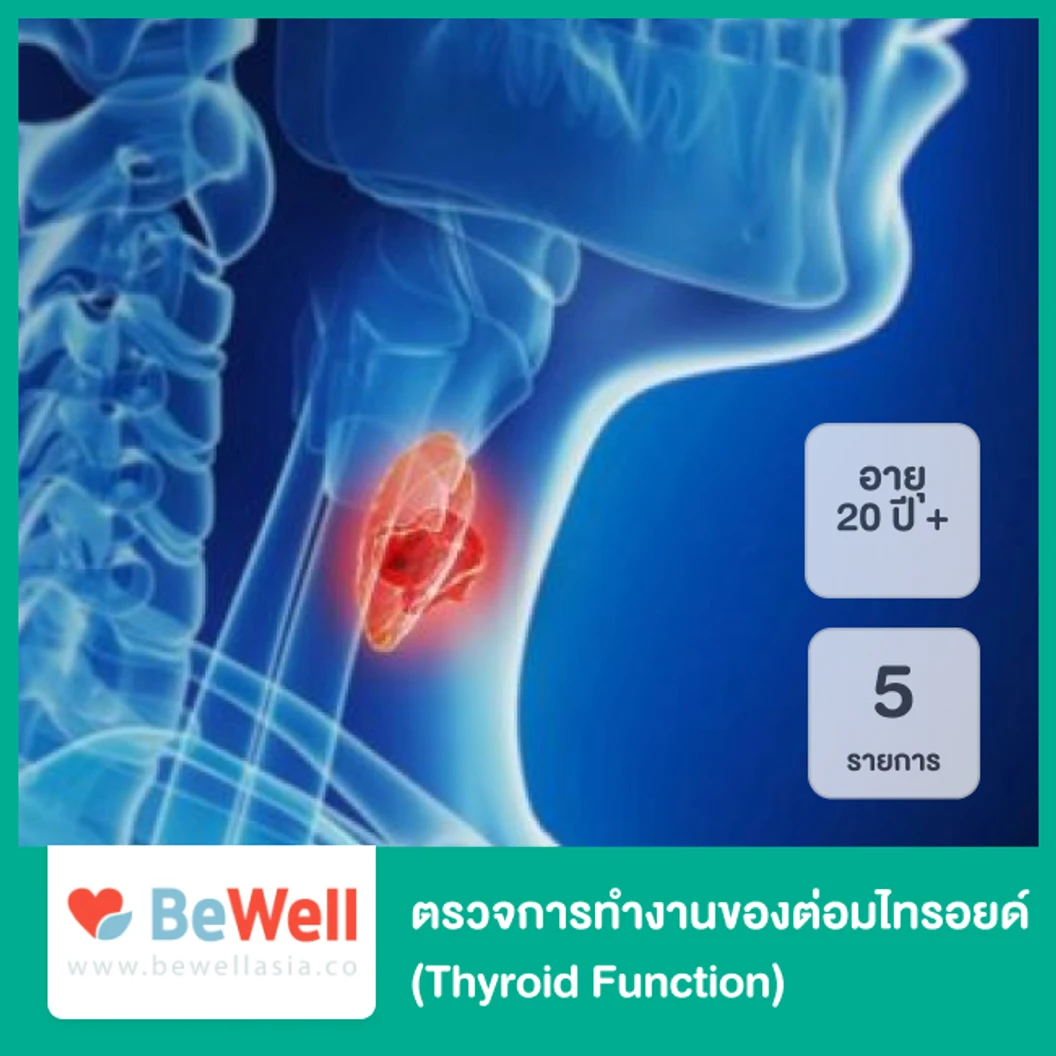 ตรวจการทำงานของต่อมไทรอยด์ 5 รายการ (Thyroid Function) สำหรับผู้ที่อายุ 20 ปีขึ้นไป