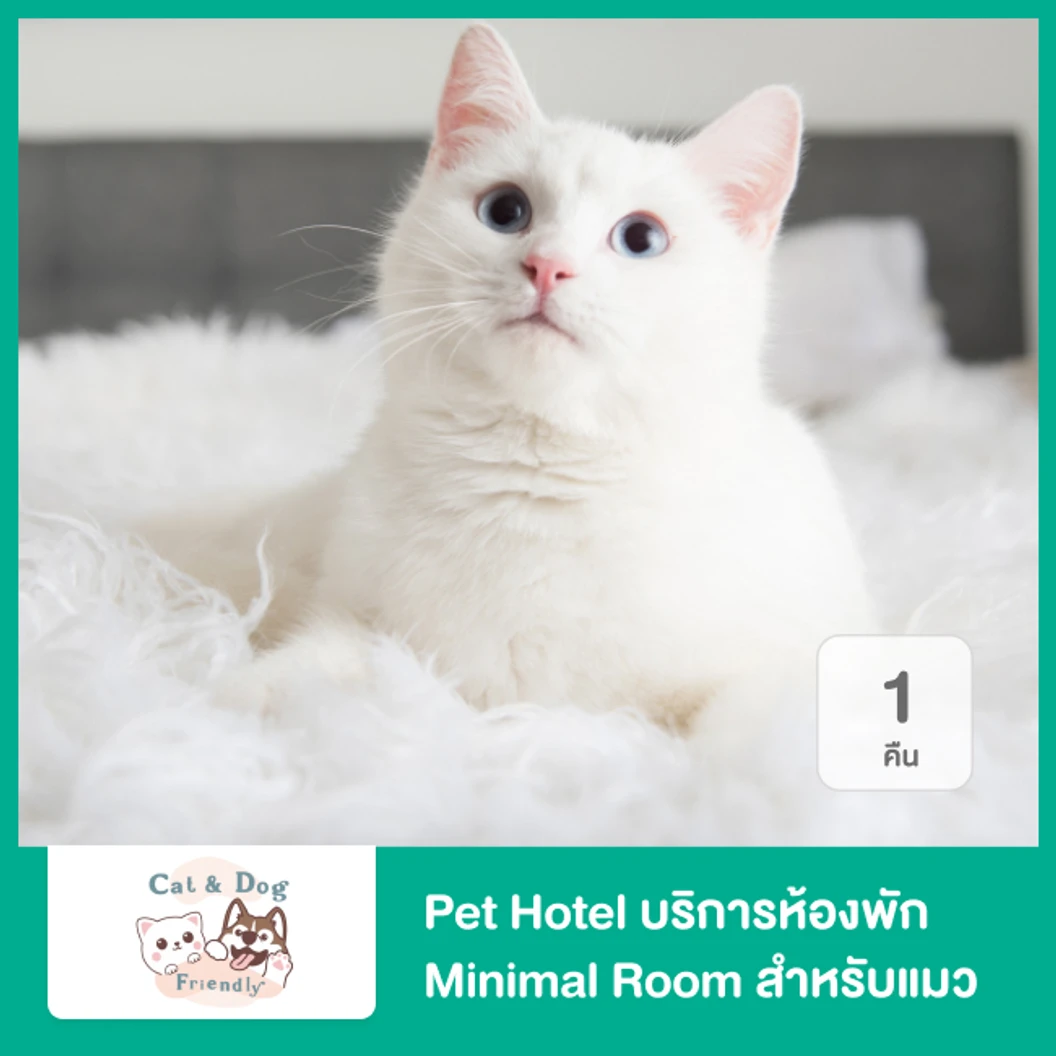 Pet Hotel บริการห้องพัก Minimal Room สำหรับแมว 1 คืน