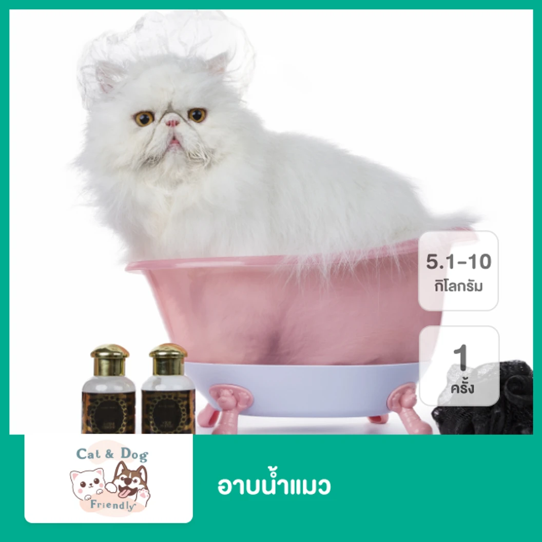 อาบน้ำแมว น้ำหนัก 5.1-10 กก. 1 ครั้ง