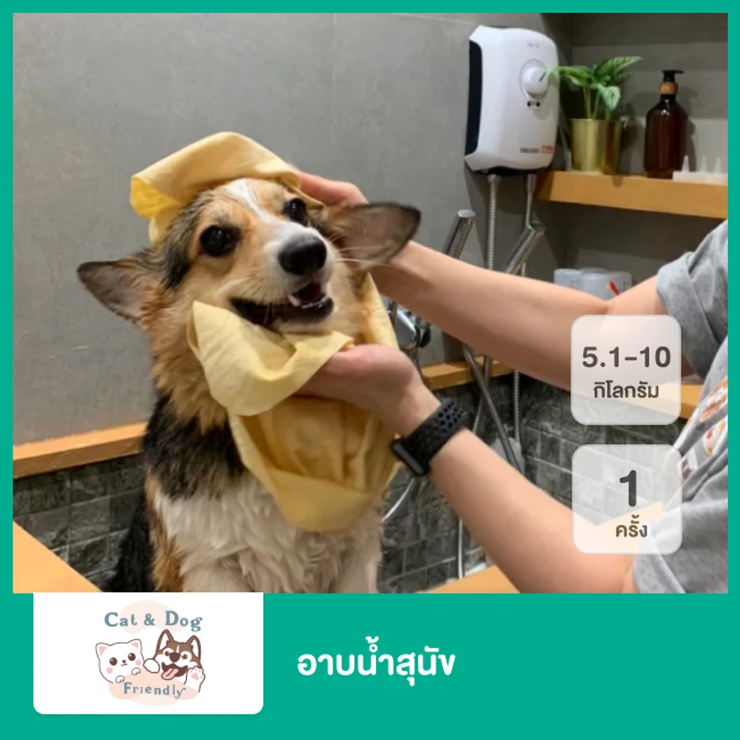 อาบน้ำสุนัข น้ำหนัก 5.1-10 กก. 1 ครั้ง