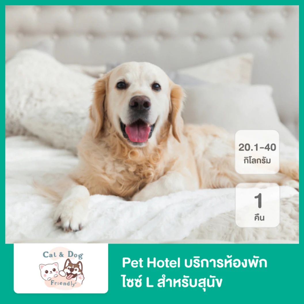 Pet Hotel บริการห้องพัก ไซซ์ L สำหรับสุนัข น้ำหนัก 20.1- 40 กก. 1 คืน