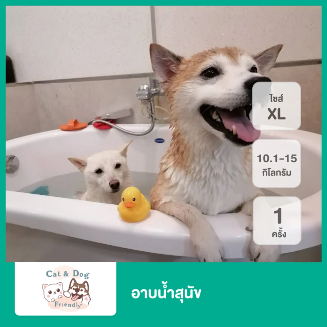 อาบน้ำสุนัข น้ำหนัก 10.1-15 กก. 1 ครั้ง