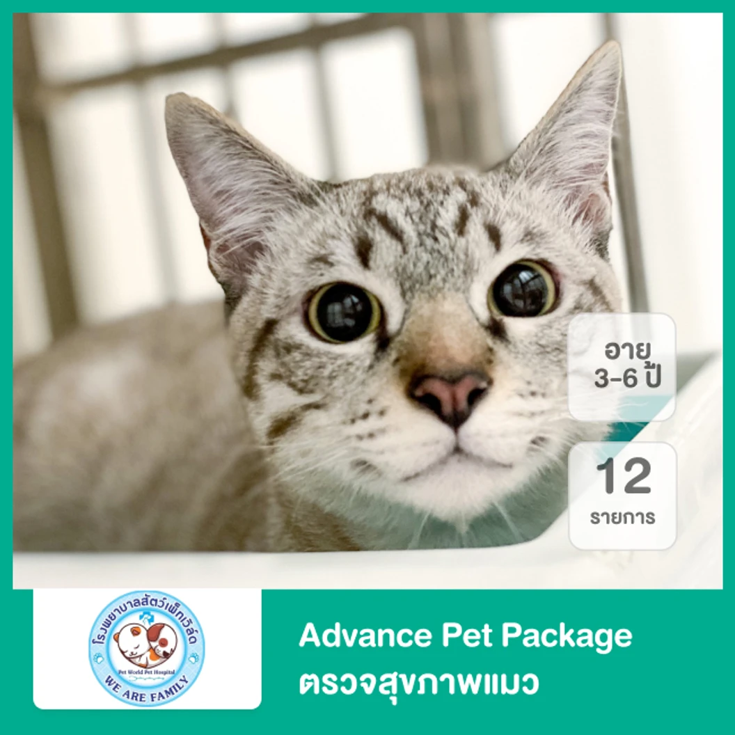 Advance Pet Package ตรวจสุขภาพแมว 12 รายการ สำหรับแมวอายุ 3-6 ปี