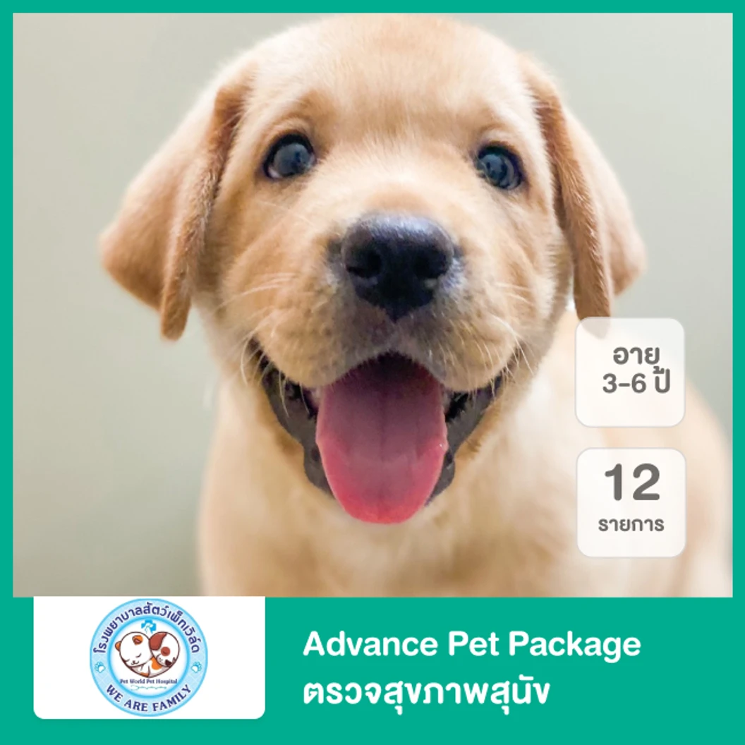 Advance Pet Package ตรวจสุขภาพสุนัข 12 รายการ สำหรับสุนัขอายุ 3-6 ปี