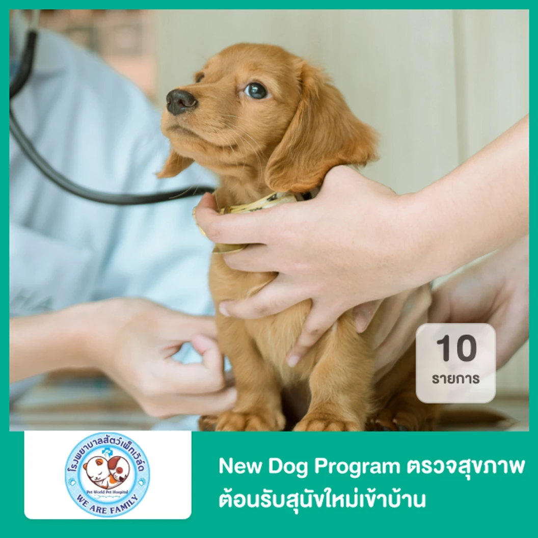 New Dog Program ตรวจสุขภาพต้อนรับสุนัขใหม่เข้าบ้าน 10 รายการ