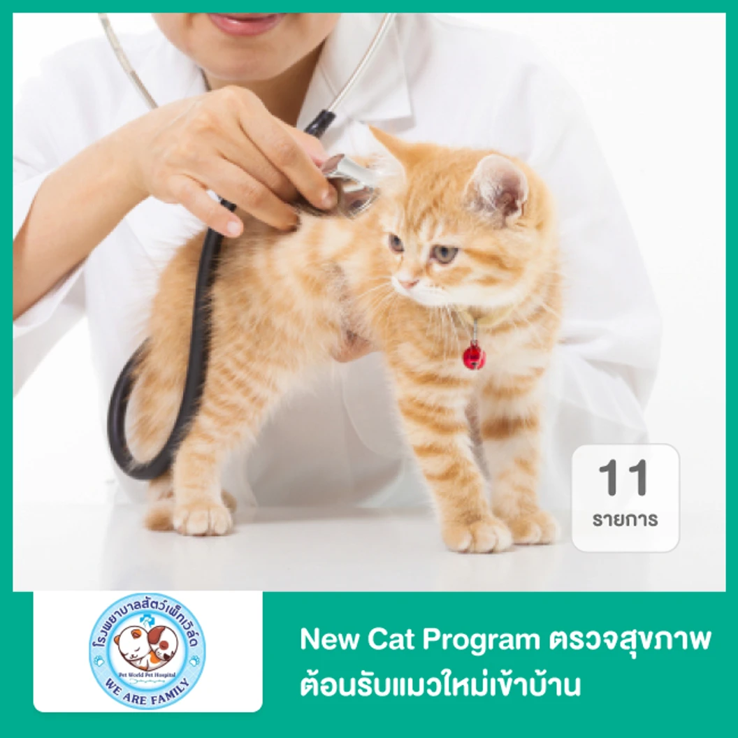 New Cat Program ตรวจสุขภาพต้อนรับแมวใหม่เข้าบ้าน 11 รายการ