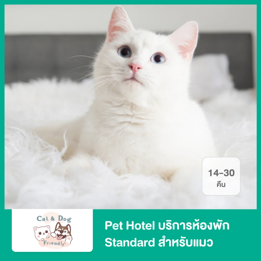 Pet Hotel บริการห้องพัก Standard สำหรับแมว เหมา 14-30 คืน