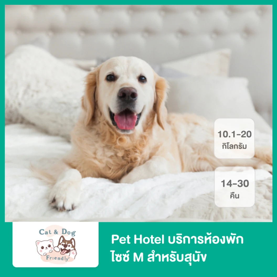 Pet Hotel บริการห้องพัก ไซซ์ M สำหรับสุนัข น้ำหนัก 10.1- 20 กก. เหมา 14-30 คืน