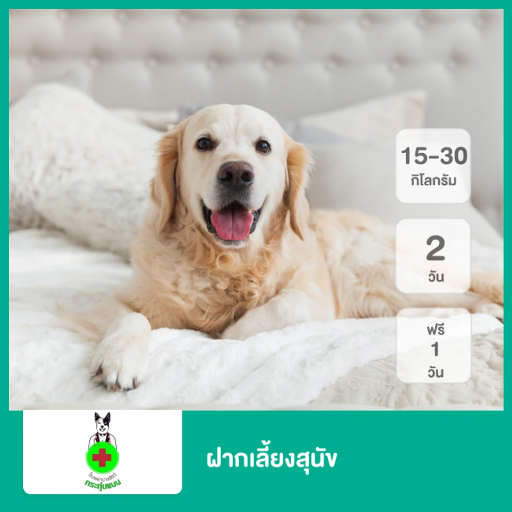 ฝากเลี้ยงสุนัข น้ำหนัก 15-30 กก. 2 วัน ฟรี! 1 วัน