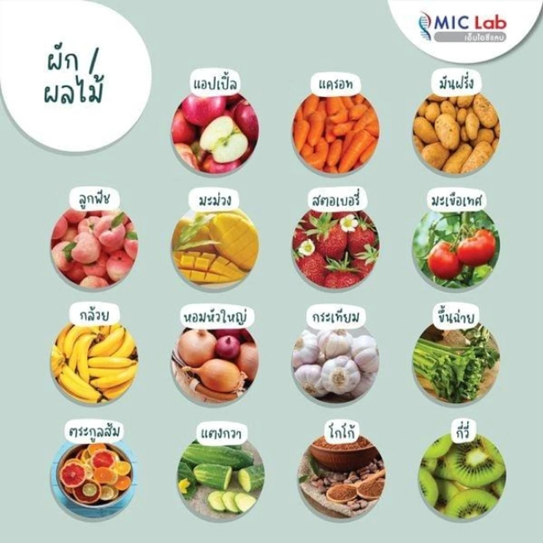 ตรวจหาสารก่อภูมิแพ้อาหารและสิ่งแวดล้อม 107 ชนิด (IgE Test) ด้วยวิธีเจาะเลือด