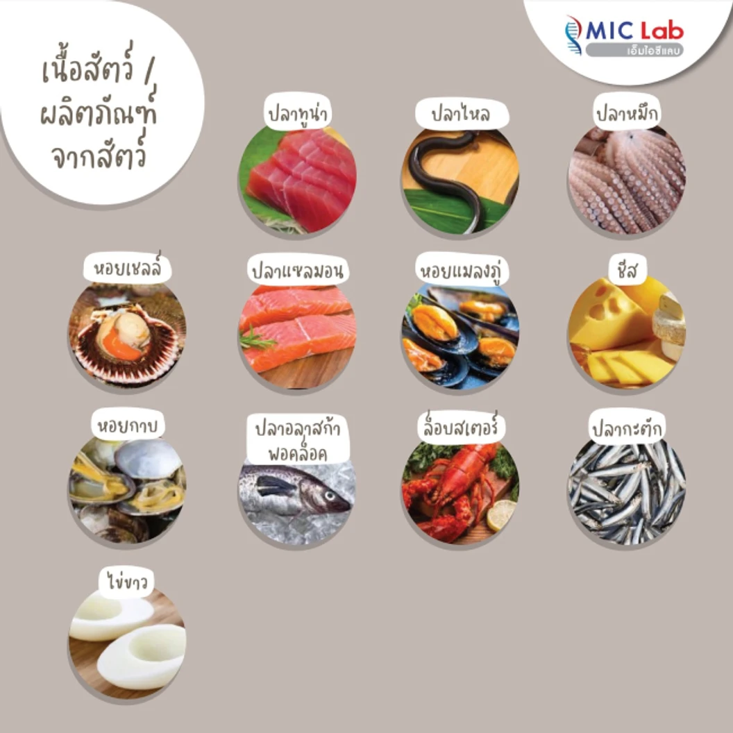 ตรวจหาสารก่อภูมิแพ้อาหารและสิ่งแวดล้อม 107 ชนิด (IgE Test) ด้วยวิธีเจาะเลือด