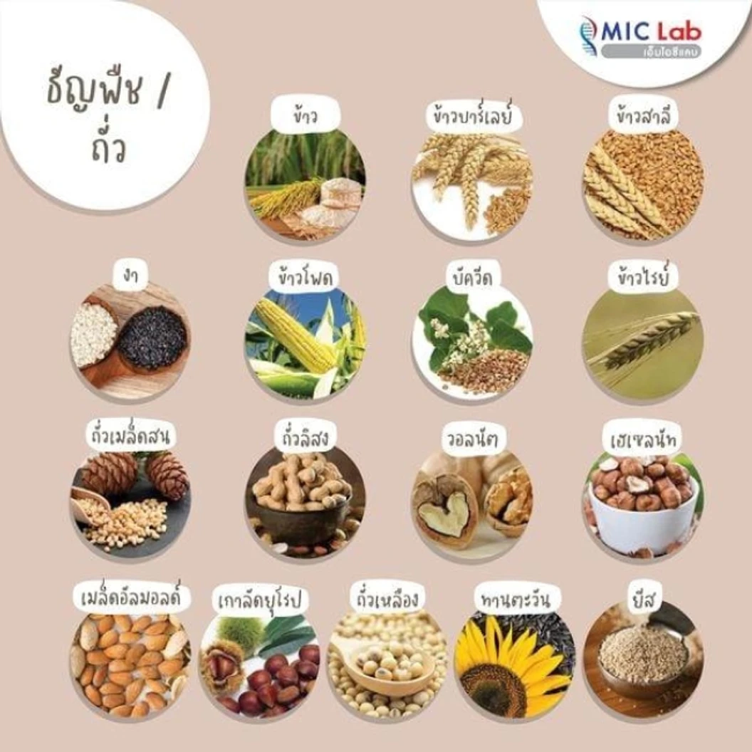 ตรวจหาสารก่อภูมิแพ้อาหารและสิ่งแวดล้อม 107 ชนิด (IgE Test) ด้วยวิธีเจาะเลือด