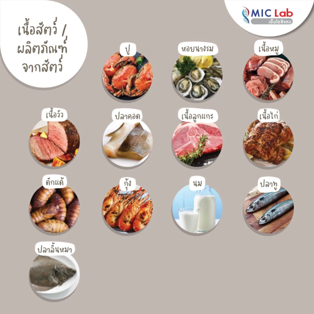 ตรวจหาสารก่อภูมิแพ้อาหารและสิ่งแวดล้อม 107 ชนิด (IgE Test) ด้วยวิธีเจาะเลือด