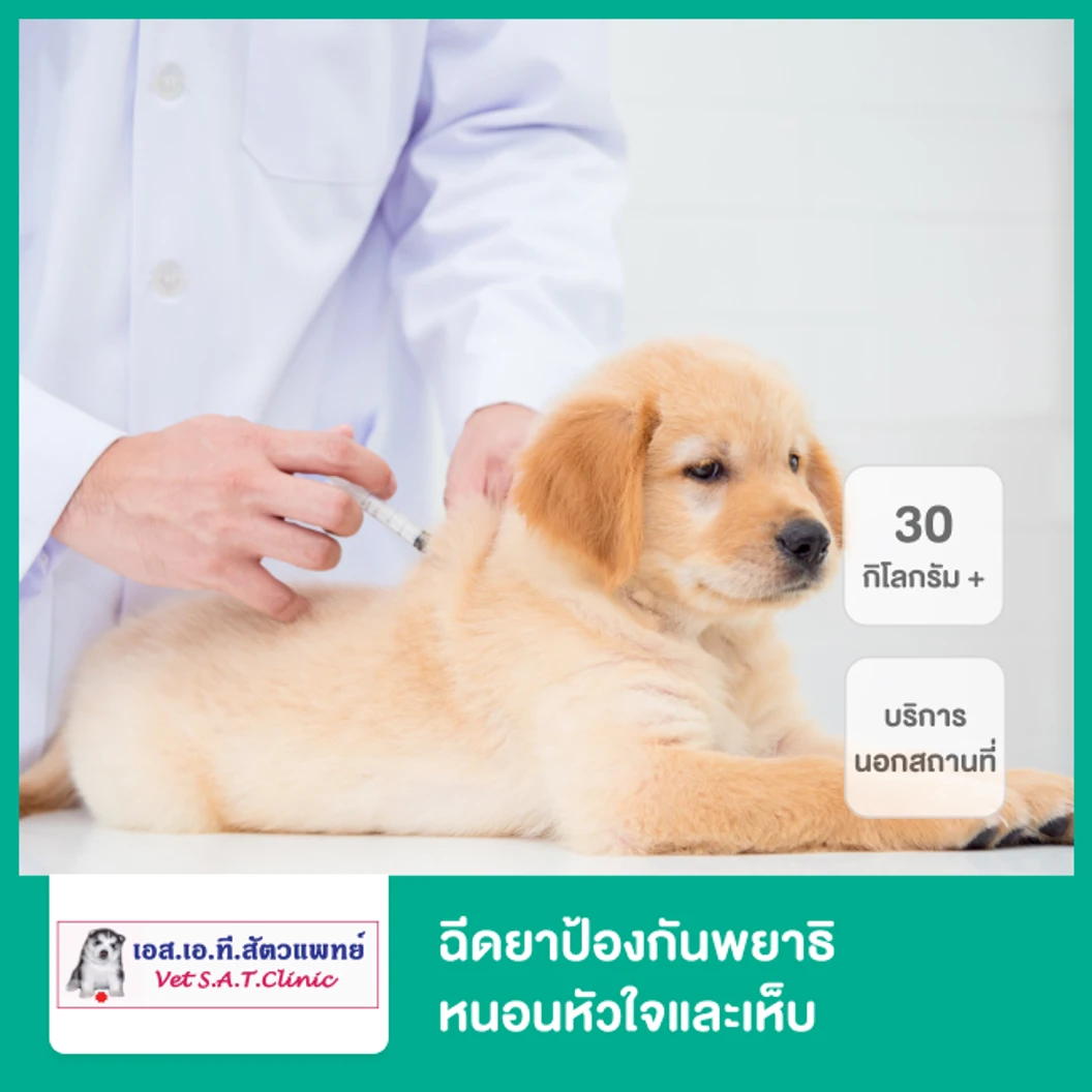 ฉีดยาป้องกันพยาธิหนอนหัวใจและเห็บ สำหรับสุนัขน้ำหนัก 30 กก. ขึ้นไป บริการนอกสถานที่