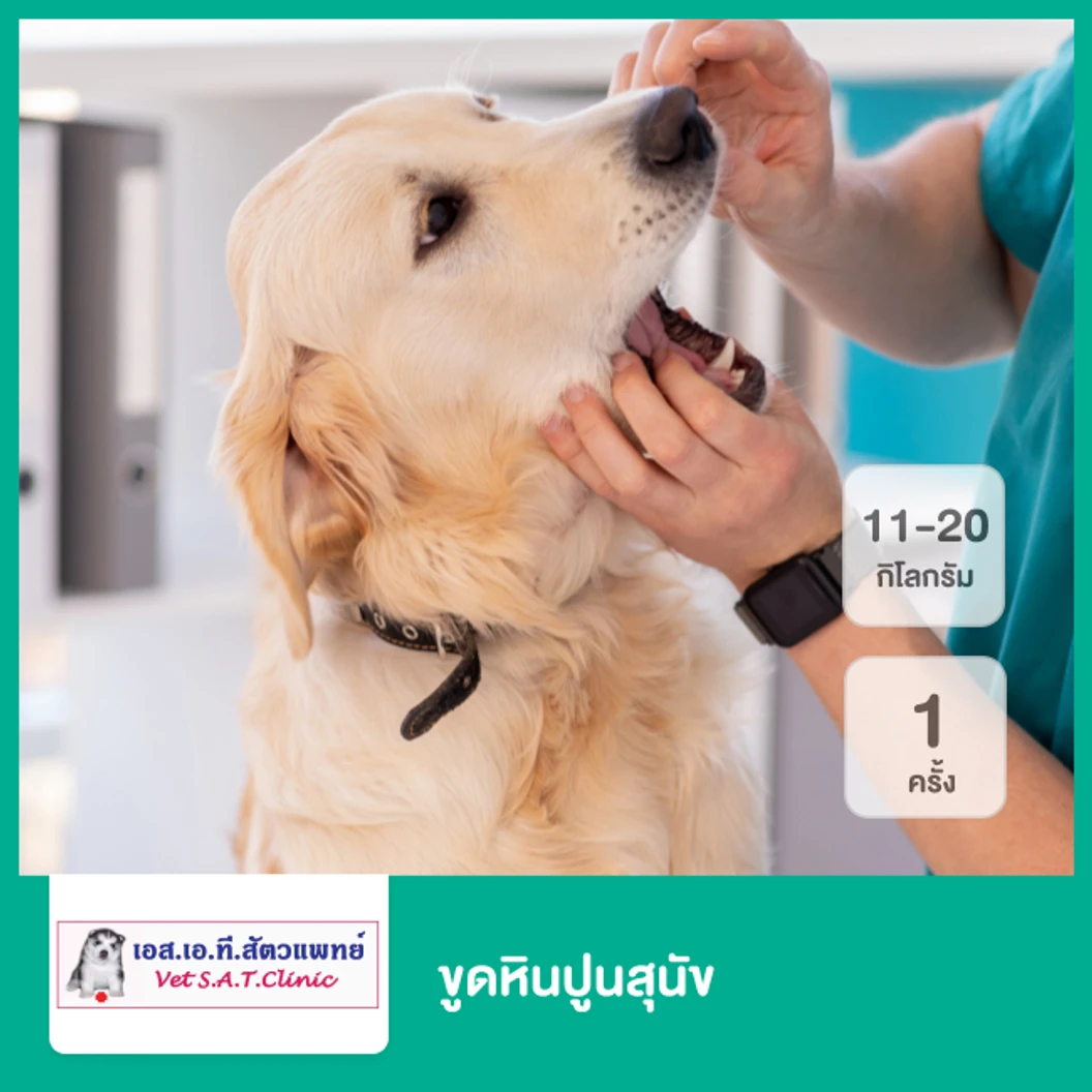 ขูดหินปูนสุนัข น้ำหนัก 11-20 กก. 1 ครั้ง