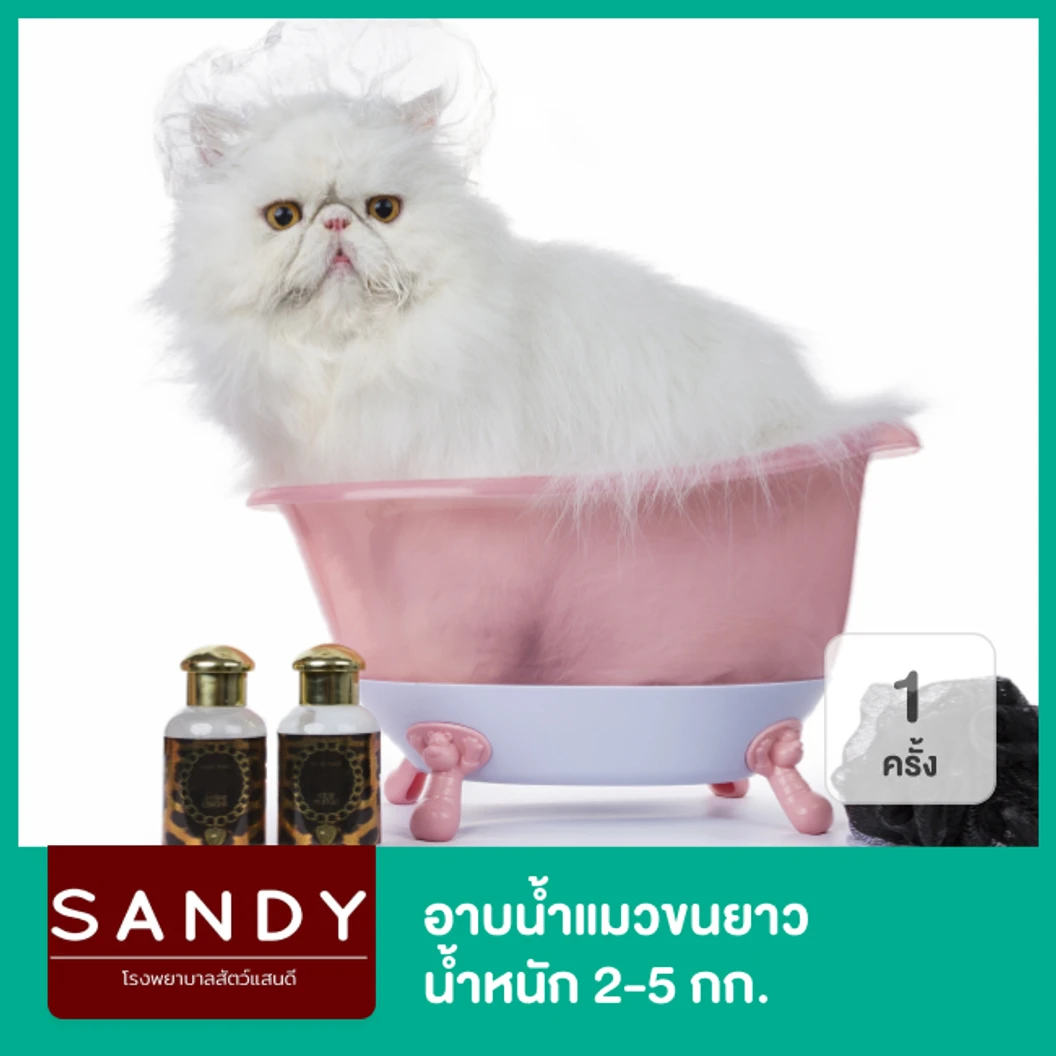 อาบน้ำแมวขนยาว น้ำหนัก 2-5 กก. 1 ครั้ง