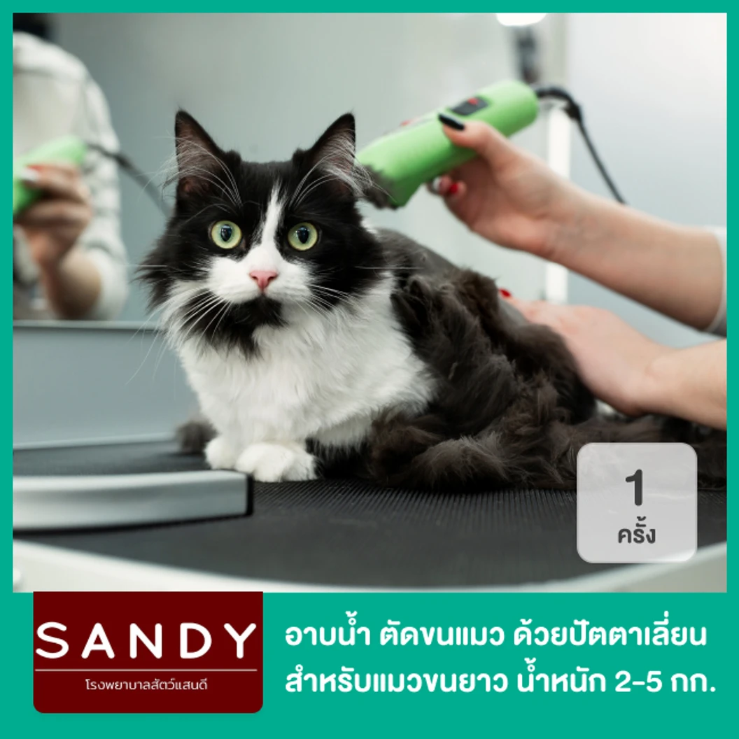 อาบน้ำและตัดขนแมว ด้วยปัตตาเลี่ยน สำหรับแมวขนยาว น้ำหนัก 2-5 กก. 1 ครั้ง
