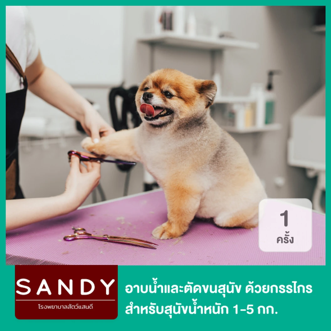 อาบน้ำและตัดขนสุนัข ด้วยกรรไกร สำหรับสุนัขน้ำหนัก 1-5 กก. 1 ครั้ง