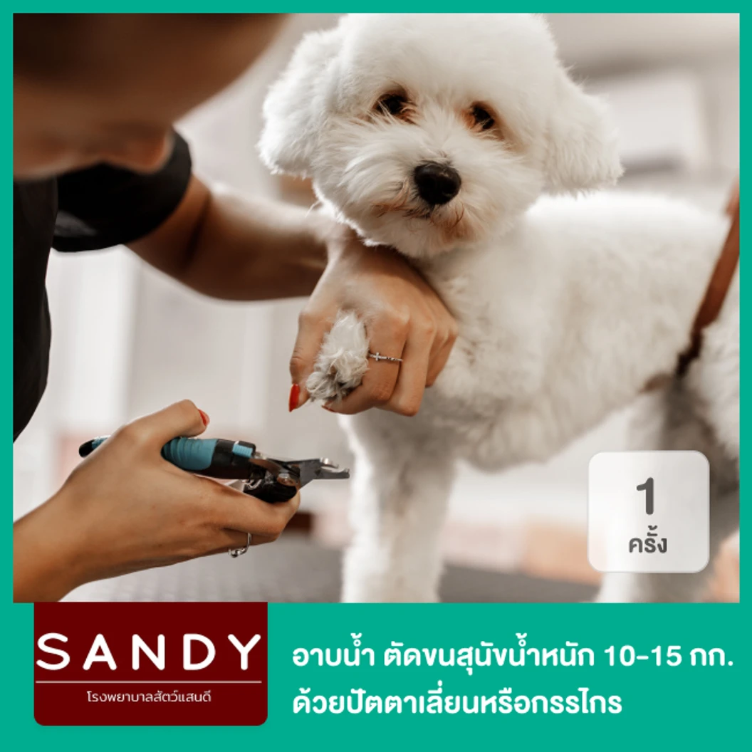 อาบน้ำและตัดขนสุนัข ด้วยปัตตาเลี่ยน สำหรับสุนัขน้ำหนัก 10-15 กก. 1 ครั้ง
