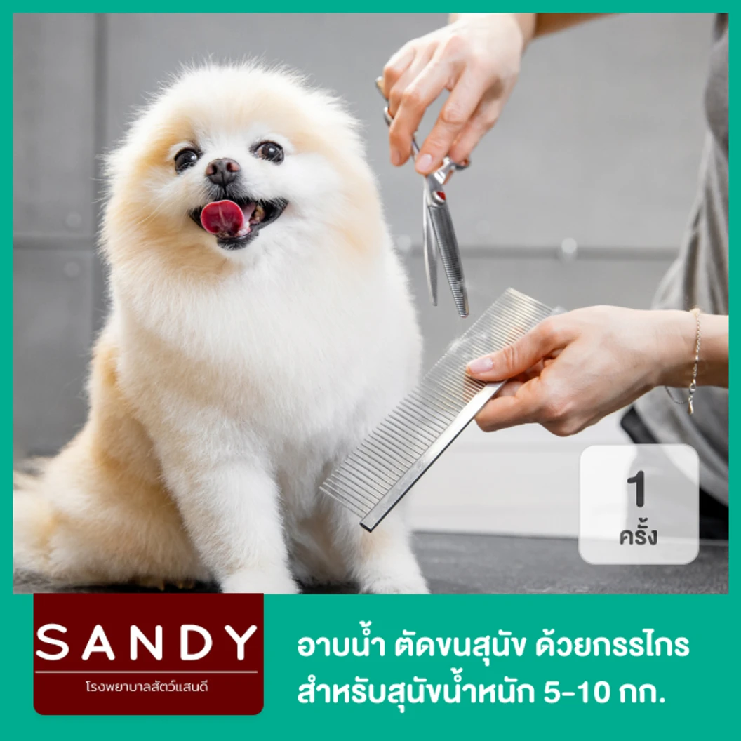 อาบน้ำและตัดขนสุนัข ด้วยกรรไกร สำหรับสุนัขน้ำหนัก 5-10 กก. 1 ครั้ง