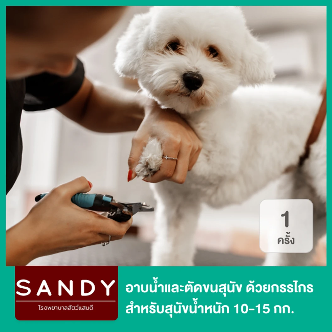 อาบน้ำและตัดขนสุนัข ด้วยกรรไกร สำหรับสุนัขน้ำหนัก 10-15 กก. 1 ครั้ง