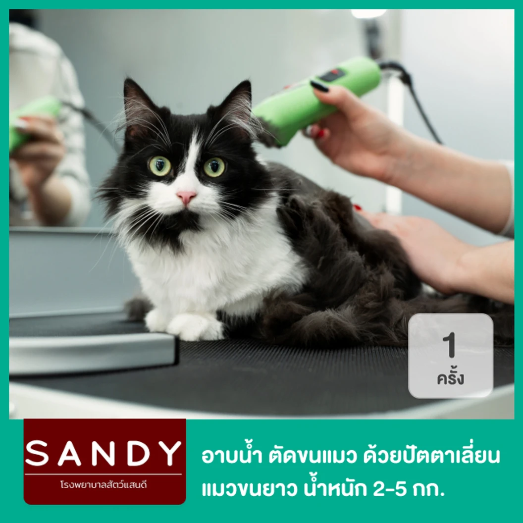 อาบน้ำและตัดขนแมว ด้วยกรรไกร สำหรับแมวขนยาว น้ำหนัก 2-5 กก. 1 ครั้ง