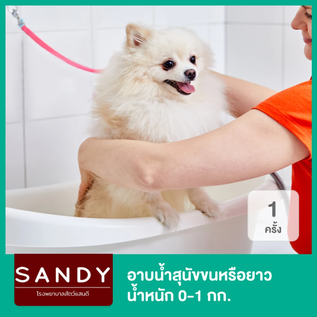 อาบน้ำสุนัขขนสั้นหรือขนยาว น้ำหนัก 0-1 กก. 1 ครั้ง
