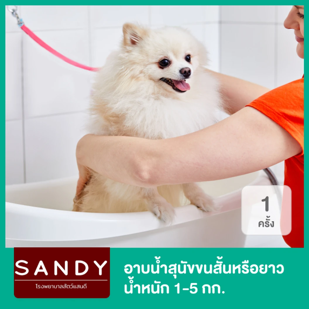 อาบน้ำสุนัขขนสั้นหรือยาว น้ำหนัก 1-5 กก. 1 ครั้ง