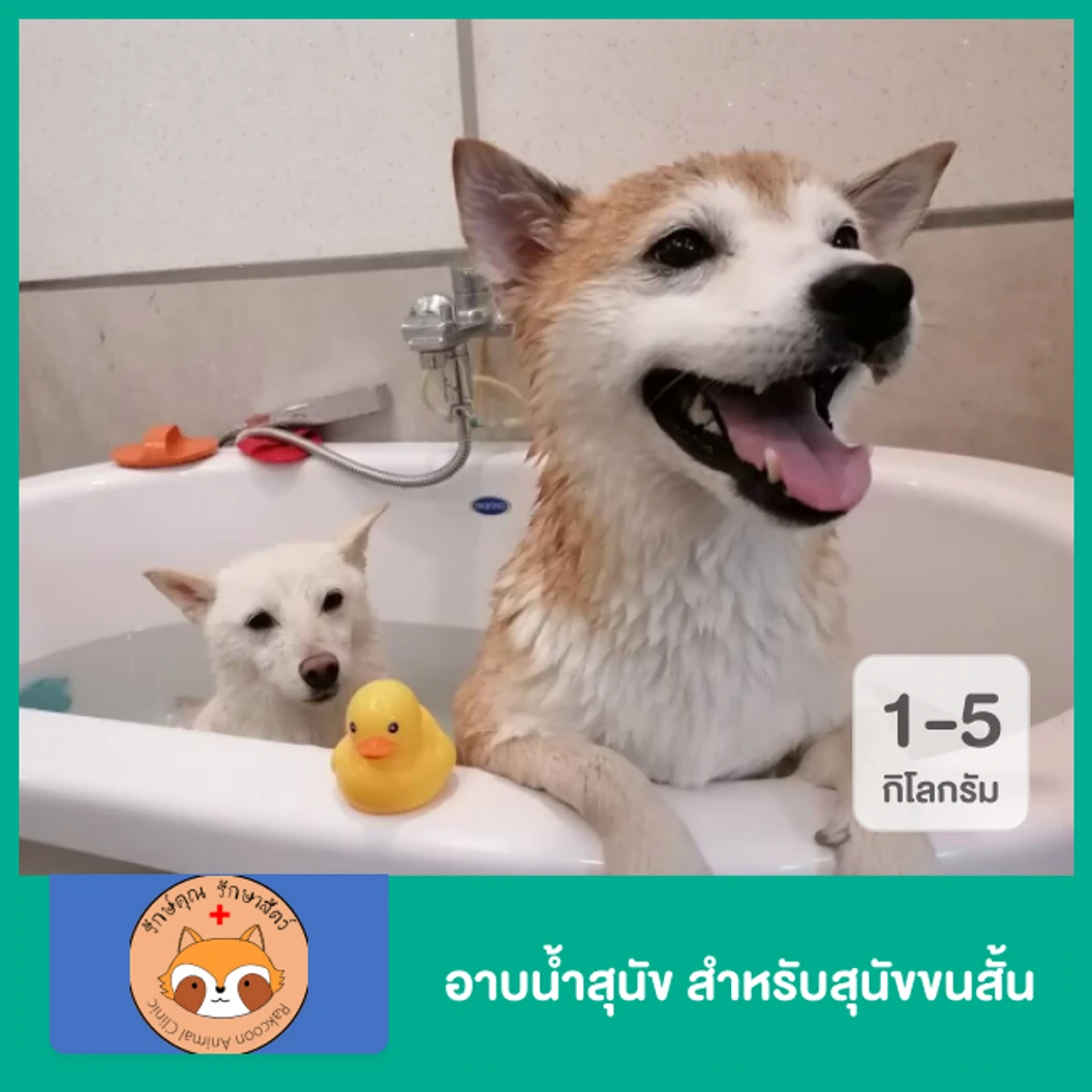 อาบน้ำสุนัข สำหรับสุนัขขนสั้น น้ำหนักไม่เกิน 1-5 กก.