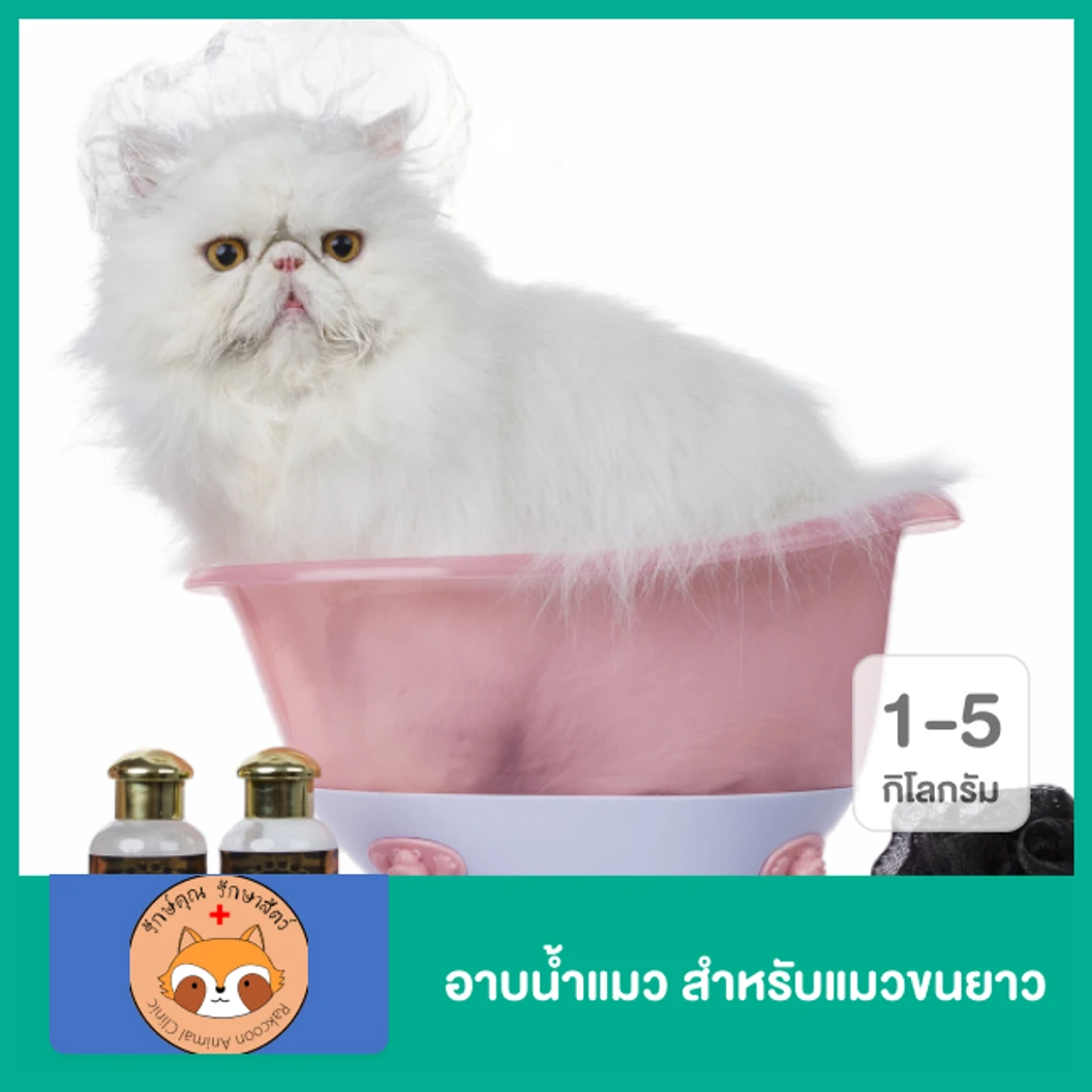 อาบน้ำแมว สำหรับแมวขนยาว น้ำหนัก 1-5 กก.