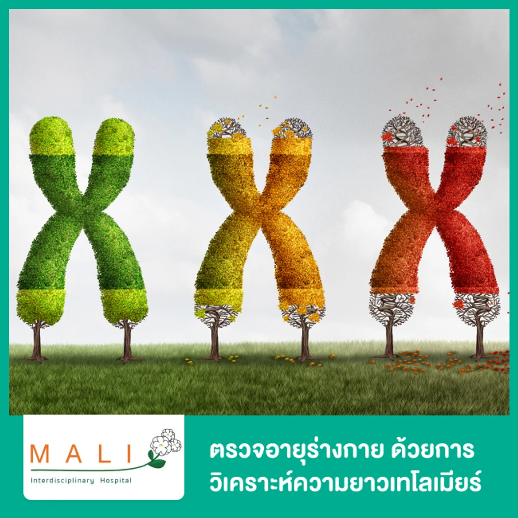 ตรวจอายุร่างกาย ด้วยการวิเคราะห์ความยาวเทโลเมียร์