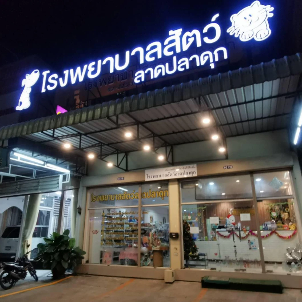 ตรวจหาภาวะโรคไตระยะเริ่มต้น สำหรับแมวทุกขนาด