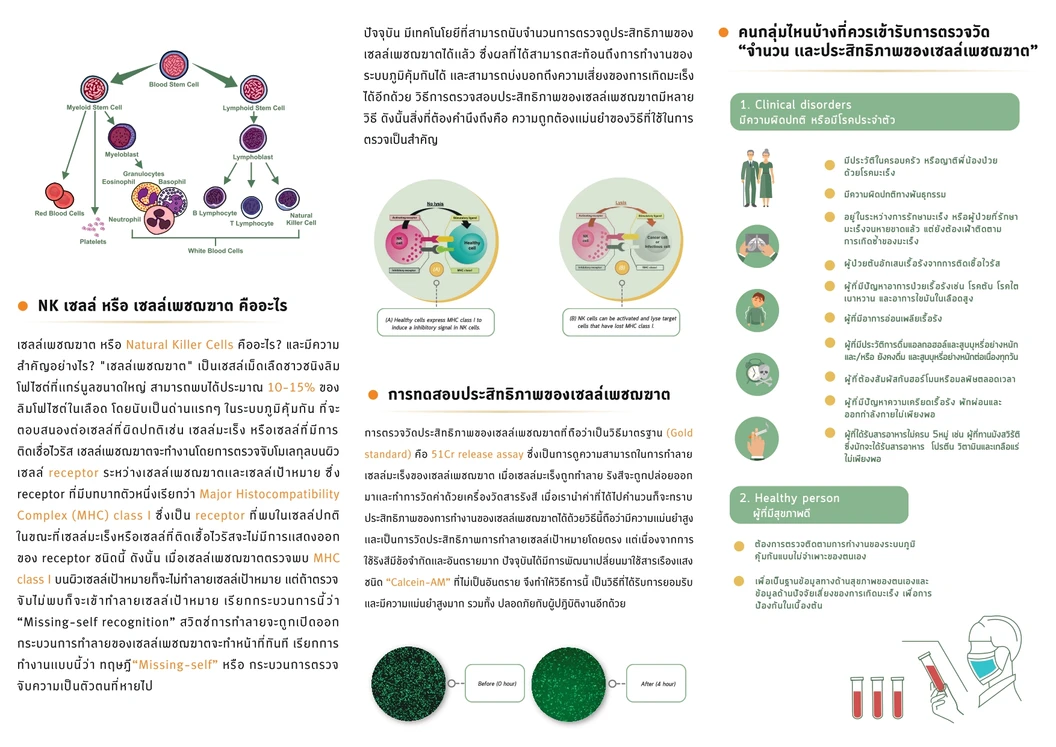 ตรวจคัดกรองความเสี่ยงมะเร็งและภูมิคุ้มกันร่างกาย NK Cell Count และ NK Activity