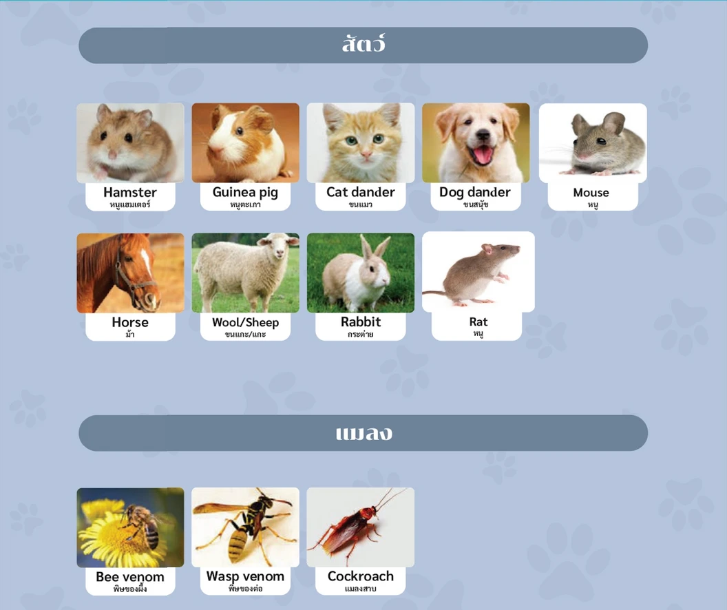 ตรวจหาสารก่อภูมิแพ้อาหารและสิ่งแวดล้อม 107 ชนิด (IgE Test) ด้วยวิธีเจาะเลือด