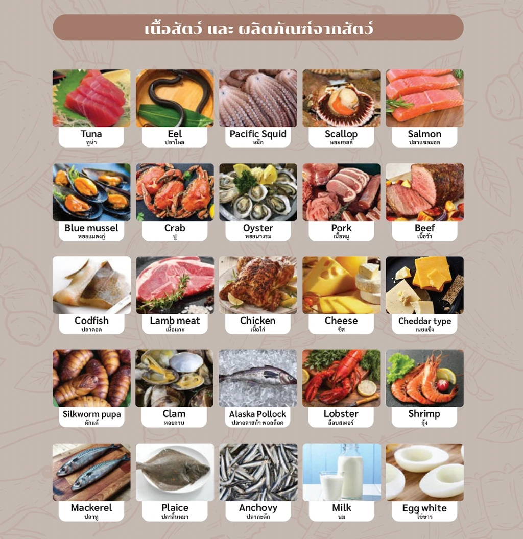 ตรวจหาสารก่อภูมิแพ้อาหารและสิ่งแวดล้อม 107 ชนิด (IgE Test) ด้วยวิธีเจาะเลือด