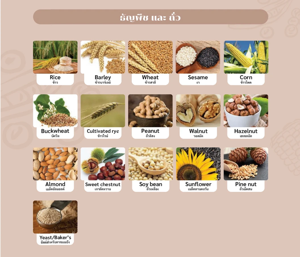 ตรวจหาสารก่อภูมิแพ้อาหารและสิ่งแวดล้อม 107 ชนิด (IgE Test) ด้วยวิธีเจาะเลือด