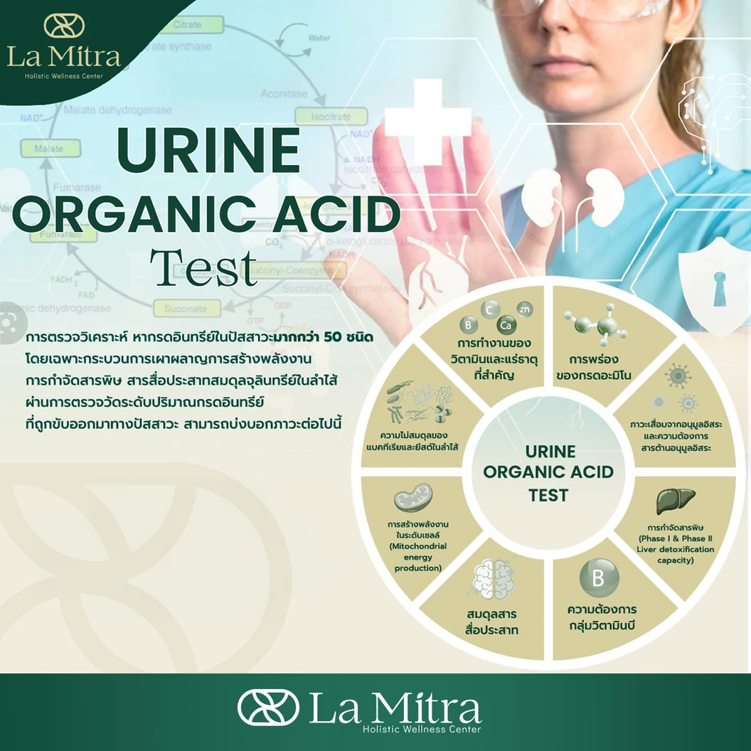 ตรวจหาปริมาณกรดอินทรีย์ในปัสสาวะ (Urine Organic Acid Test)