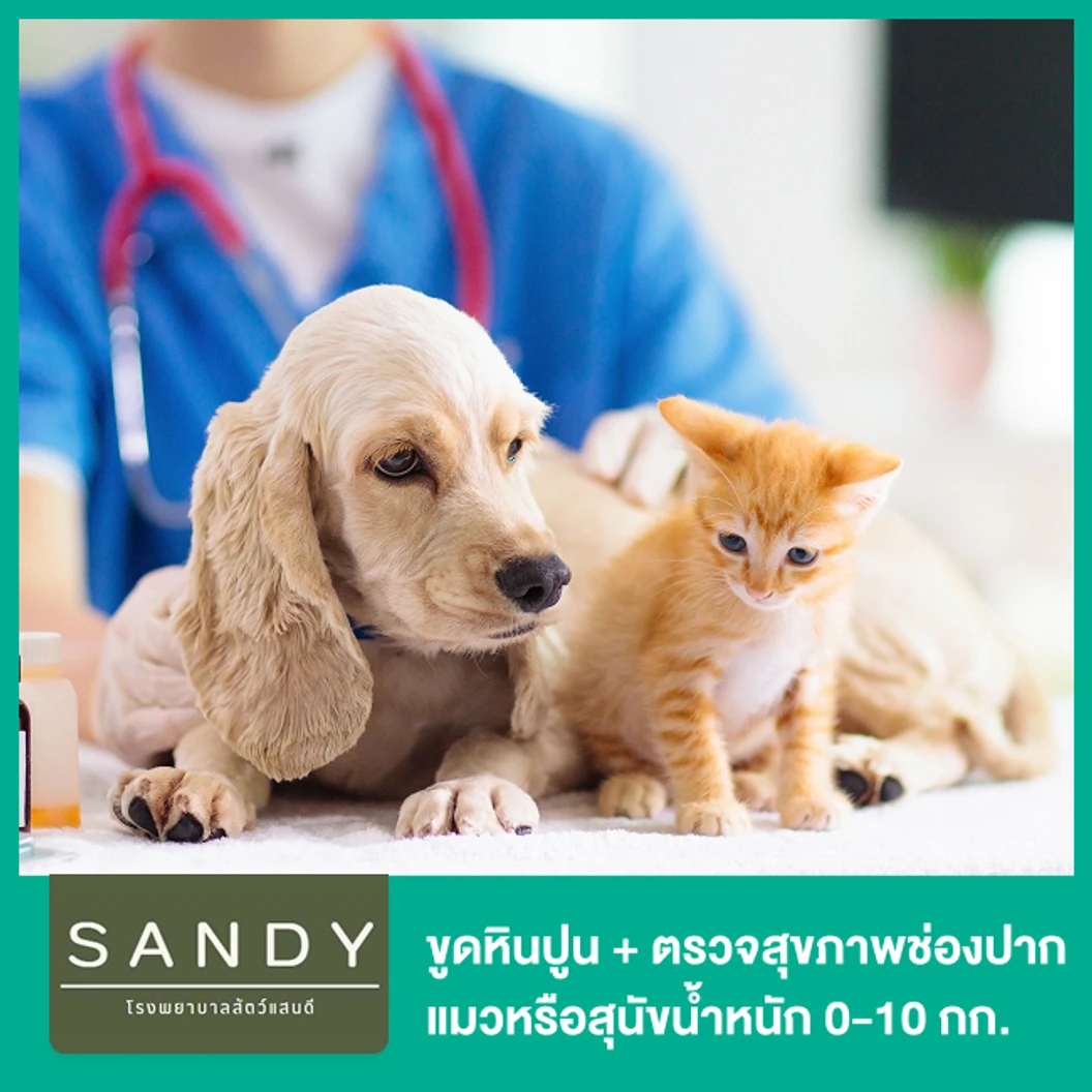 ขูดหินปูน + ตรวจสุขภาพช่องปาก แมวหรือสุนัขน้ำหนัก 0-10 กก. โดยสัตวแพทย์ผู้มีประสบการณ์ด้านช่องปาก